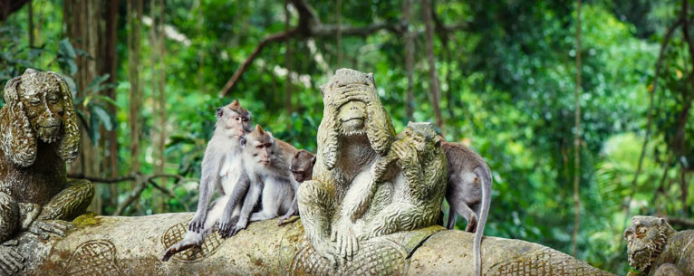 Bali Travel Itinerary