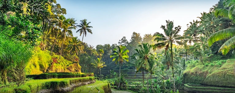 Bali Travel Itinerary