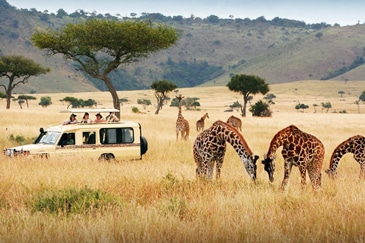 KENYA SAFARI MAGIC